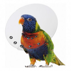 Collier de protection Isabelino pour les oiseaux KVP Saftshield Transparent (8,9-10 cm)