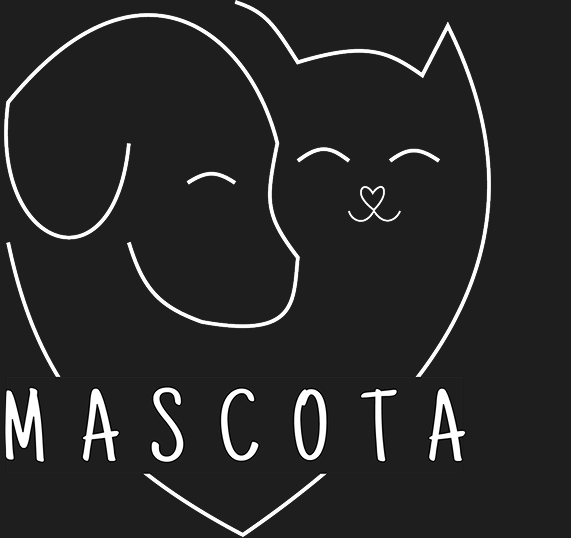 Mascota : harmonie pour la vie, entre animaux & humains ❣️
